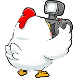 Camerakip – Chicken Road Race