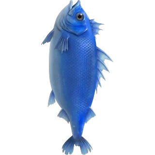 Blauwe vis – Ice Fish